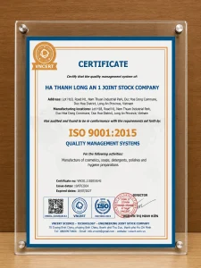 Giay chung nhan dat chuan iso 9001 2015 Ha Thanh English