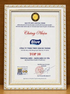 Giay chung nhan top 10 thuong hieu uy tin blue ha thanh